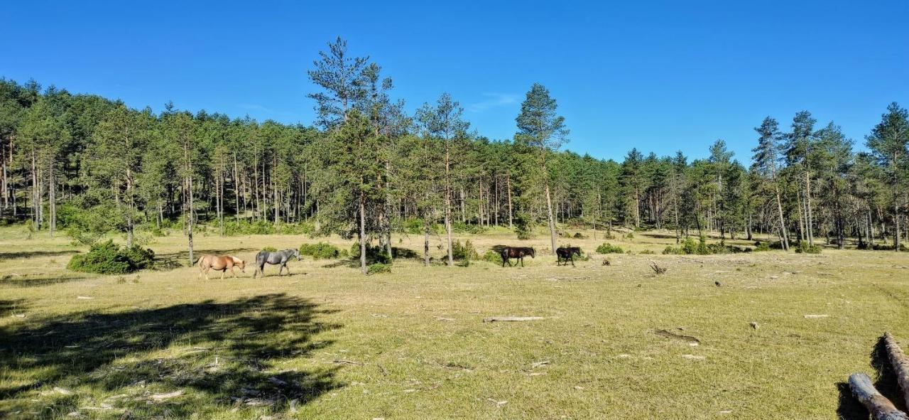 Alojamiento Rural Los Gancheros トラガセテ エクステリア 写真