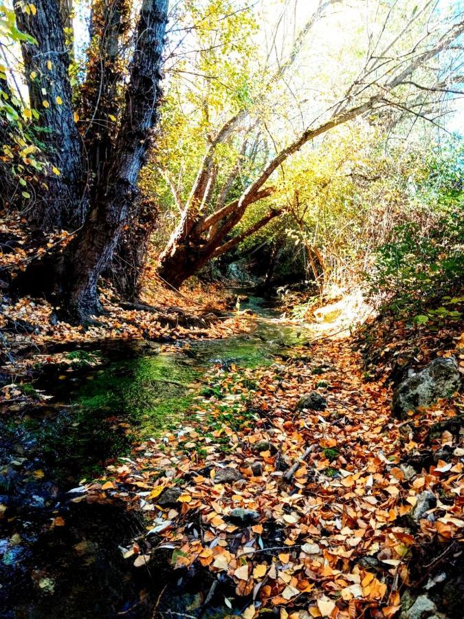 Alojamiento Rural Los Gancheros トラガセテ エクステリア 写真