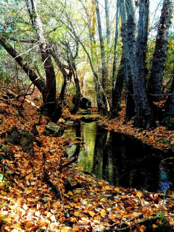 Alojamiento Rural Los Gancheros トラガセテ エクステリア 写真
