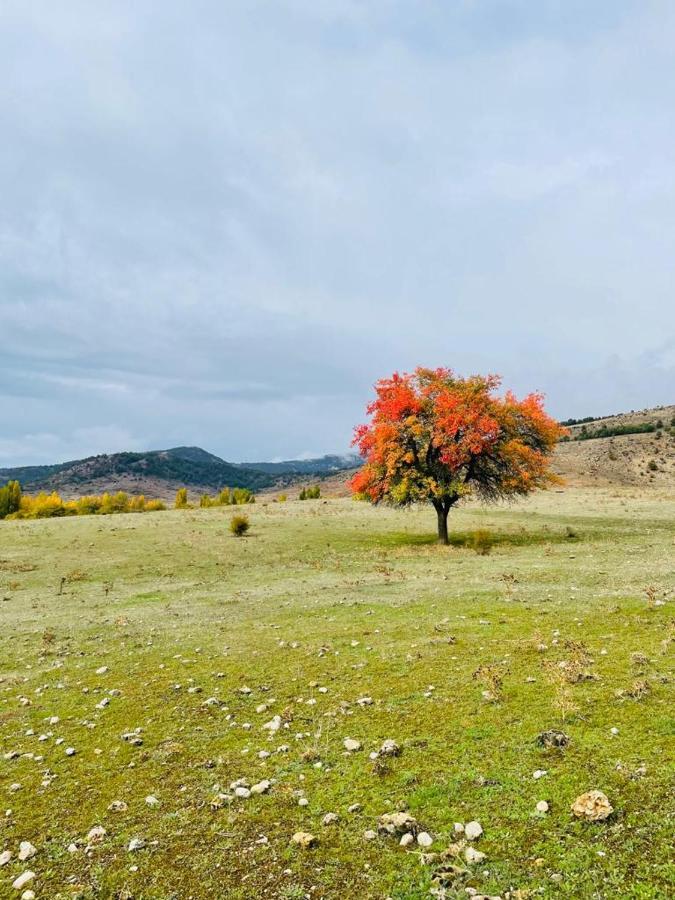 Alojamiento Rural Los Gancheros トラガセテ エクステリア 写真