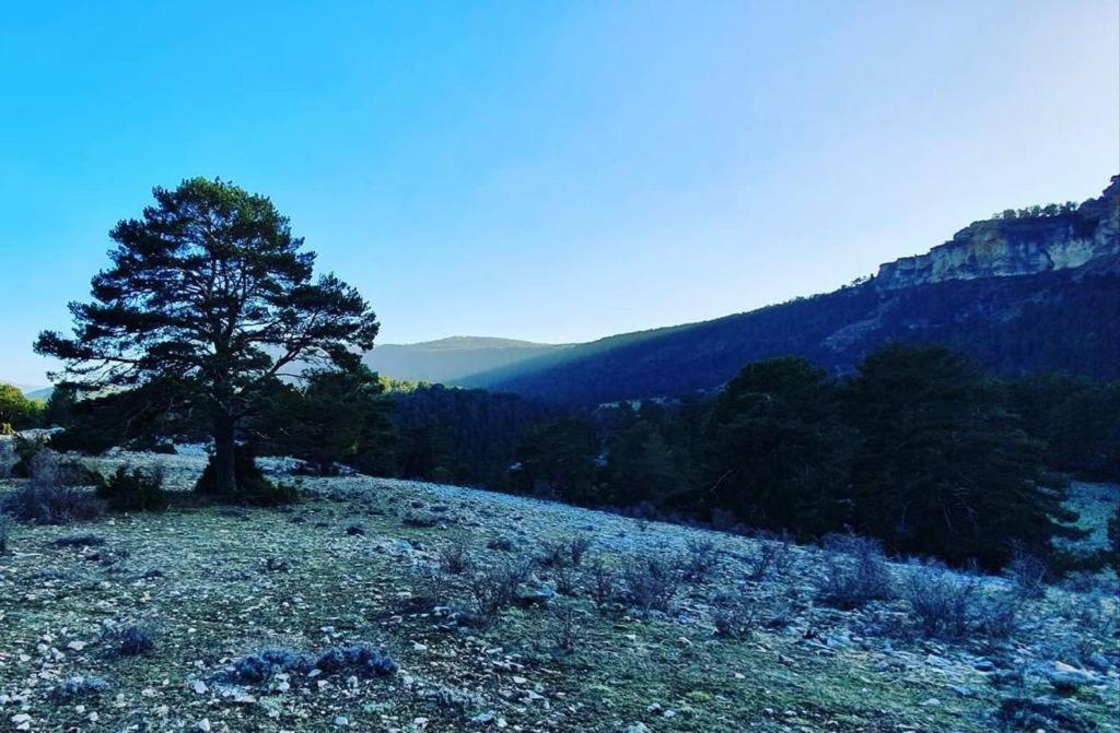 Alojamiento Rural Los Gancheros トラガセテ エクステリア 写真