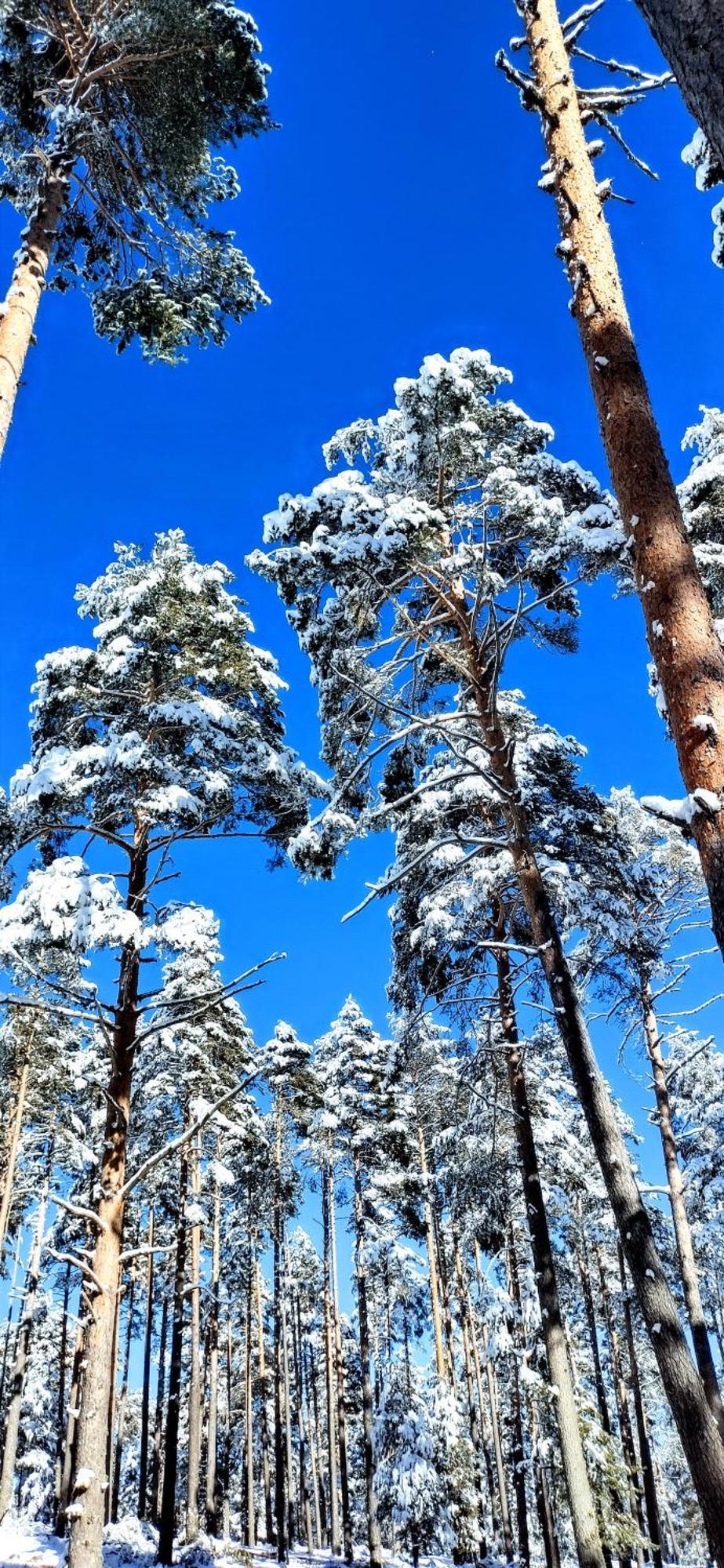 Alojamiento Rural Los Gancheros トラガセテ エクステリア 写真